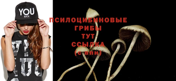 амф Алексеевка