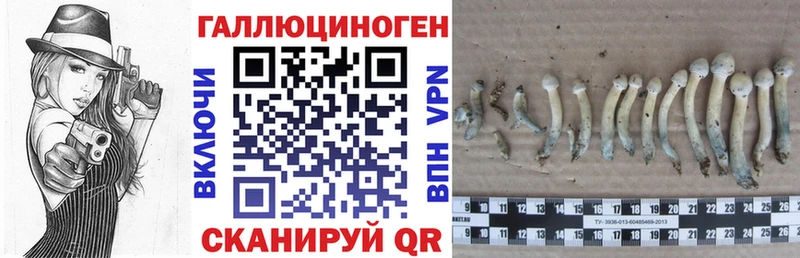 Галлюциногенные грибы GOLDEN TEACHER  Краснознаменск 